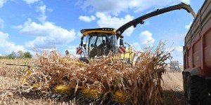 Agriculture : en France, prairies, maïs et pommes de terre ont été les plus affectés par la sécheresse