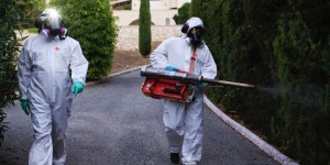 Alerte à la dengue en France, dans le sillage du moustique-tigre