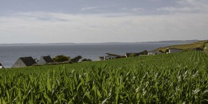 En Bretagne, la loi « littoral » sapée par la course à l’urbanisation