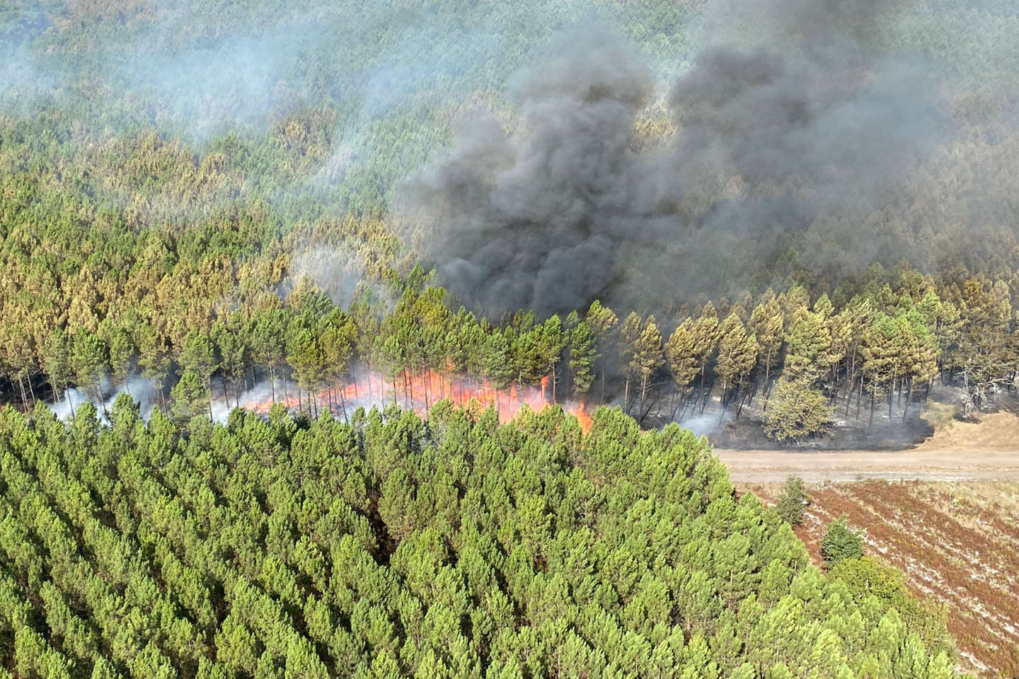 Feux de forêt : 48 incendiaires interpellés cet été