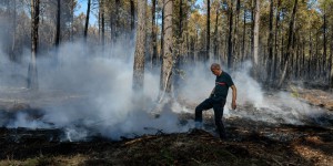 Gironde : les feux de Landiras et Saumos officiellement éteints