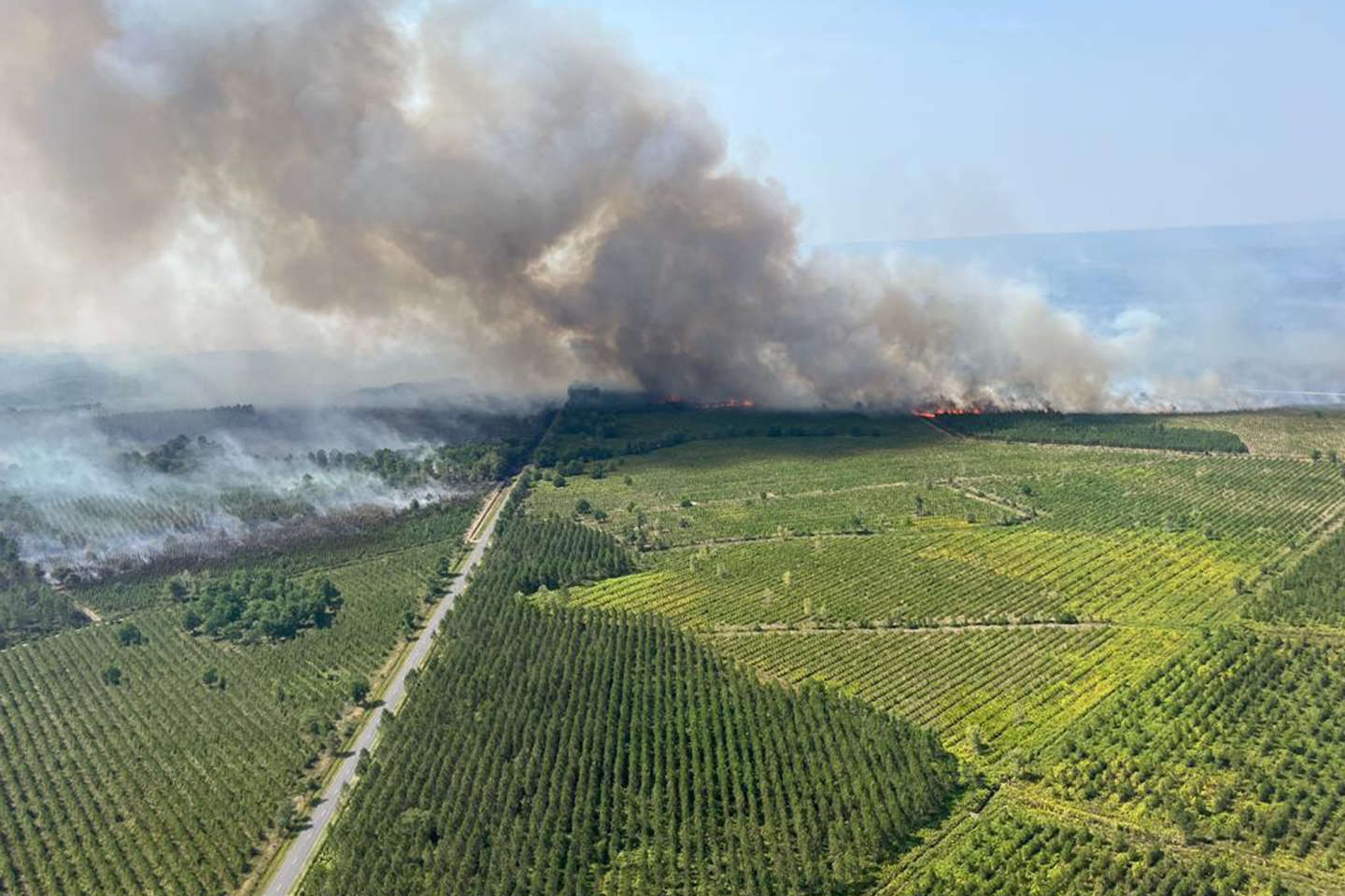 Malgré les incendies, le cru 2022 des vins de Bordeaux n’aura pas le goût de fumée