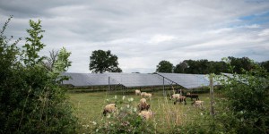 Des fermes misent sur le photovoltaïque pour réduire leur dépendance