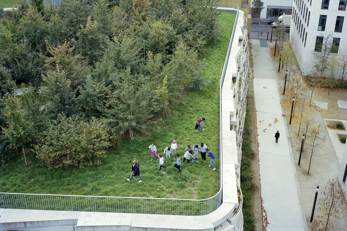 A Boulogne-Billancourt, une école abrite 345 espèces animales et végétales