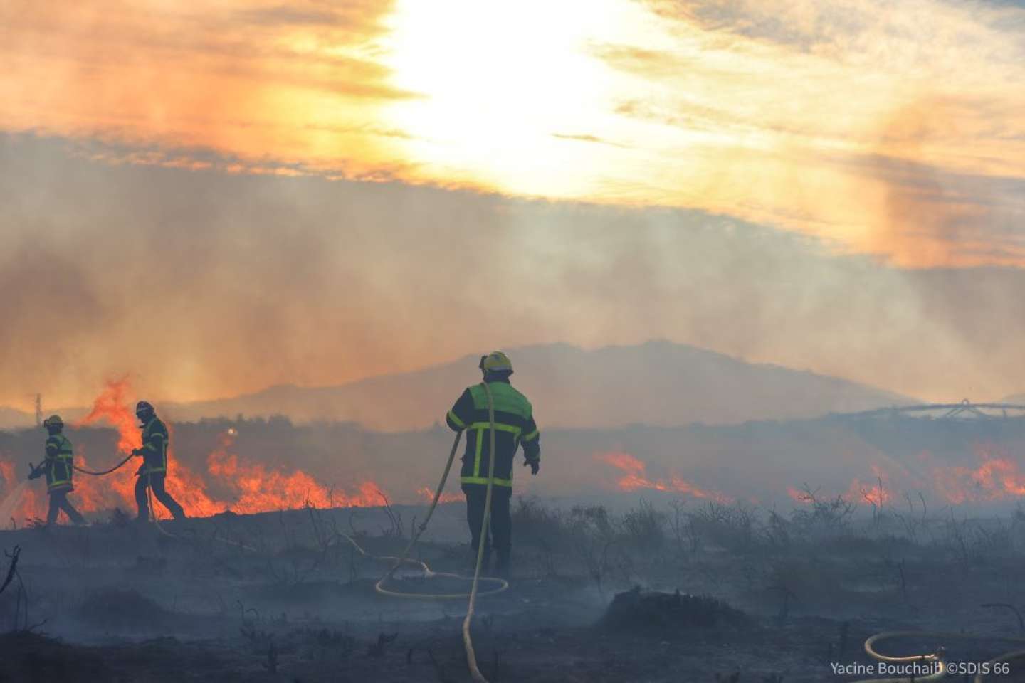 Pyrénées-Orientales : 60 hectares brûlés dans un incendie fixé