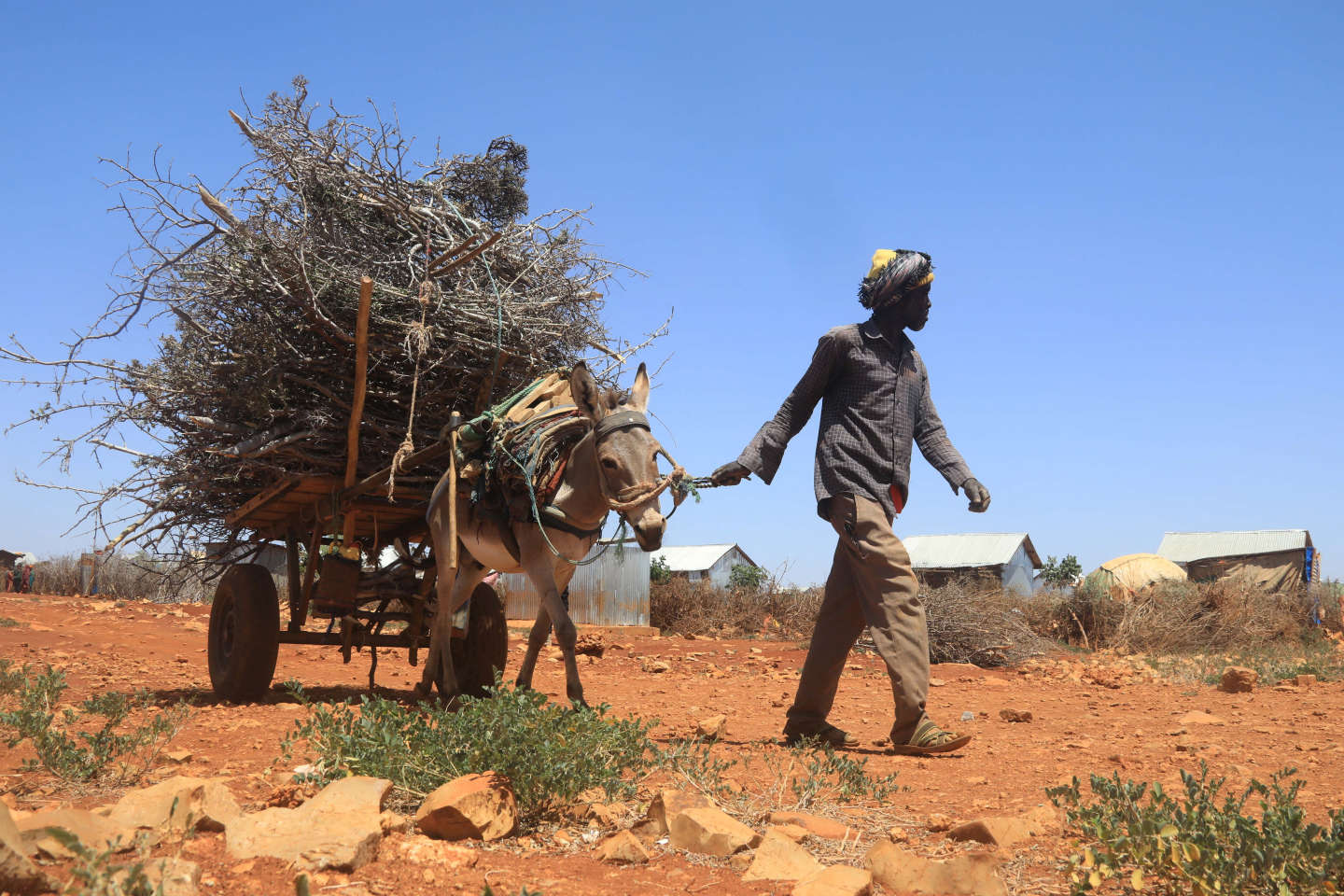« Le changement climatique signe progressivement la fin du mode de vie de certains Somaliens »