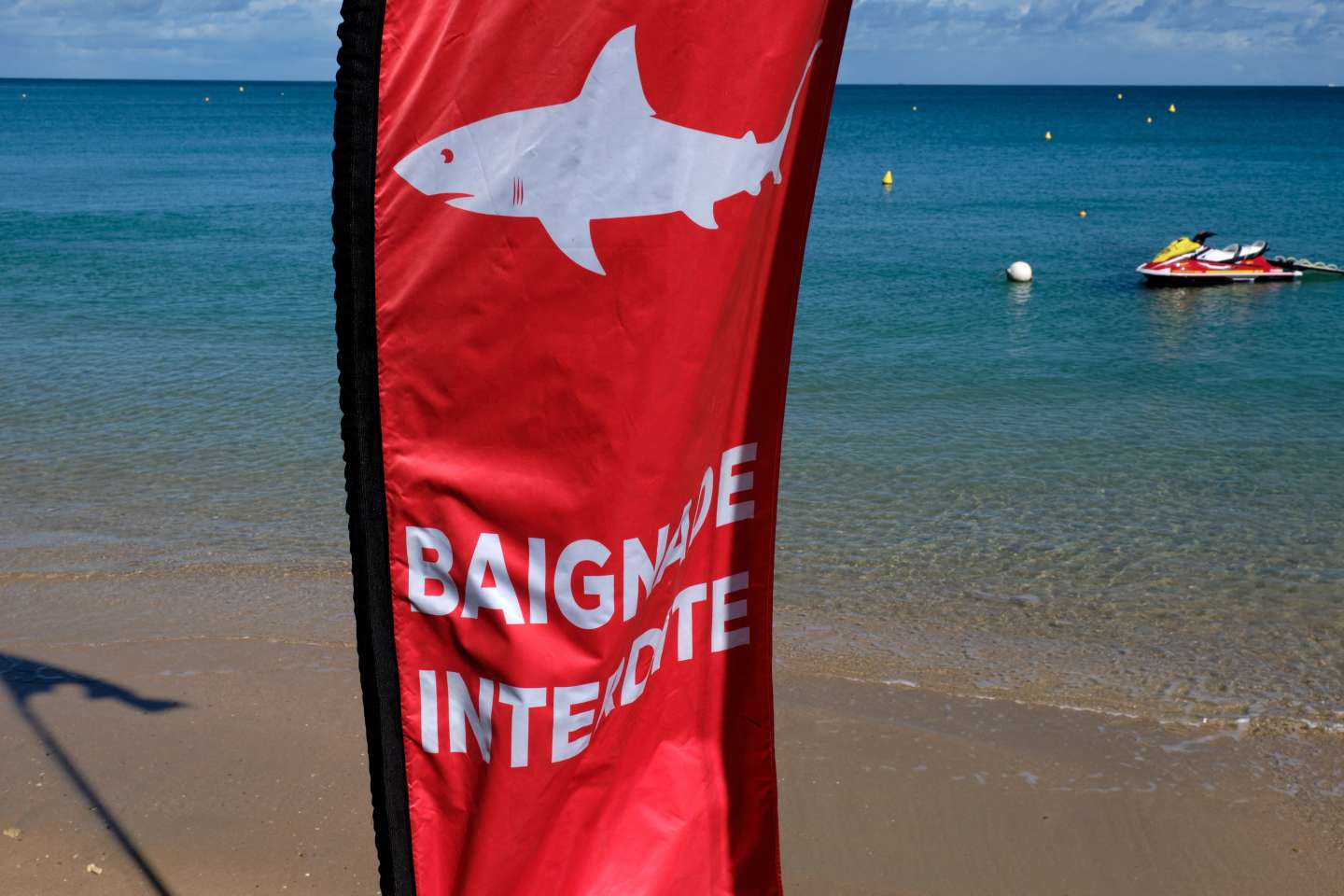 La Nouvelle-Calédonie mise sur l’abattage des requins après de graves attaques
