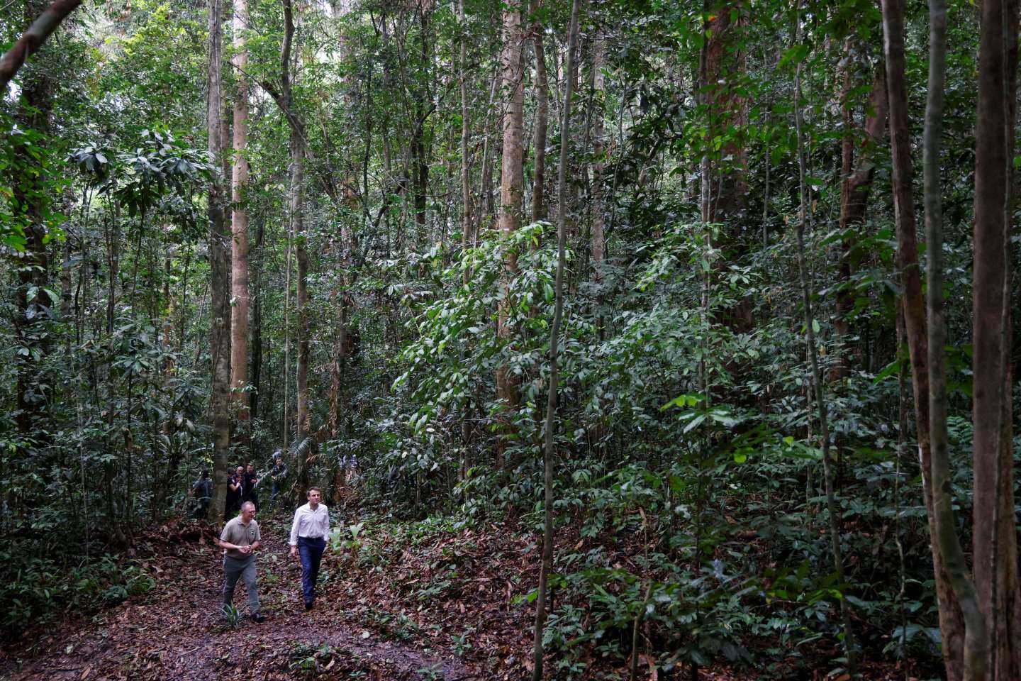 « Promettre une rente aux Etats ne permettra pas de réduire la déforestation »