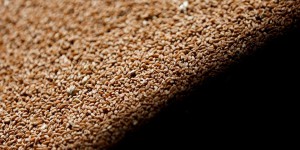 Exportation de céréales : imbroglio autour de l’interdiction de la phosphine, un traitement réclamé par des pays importateurs