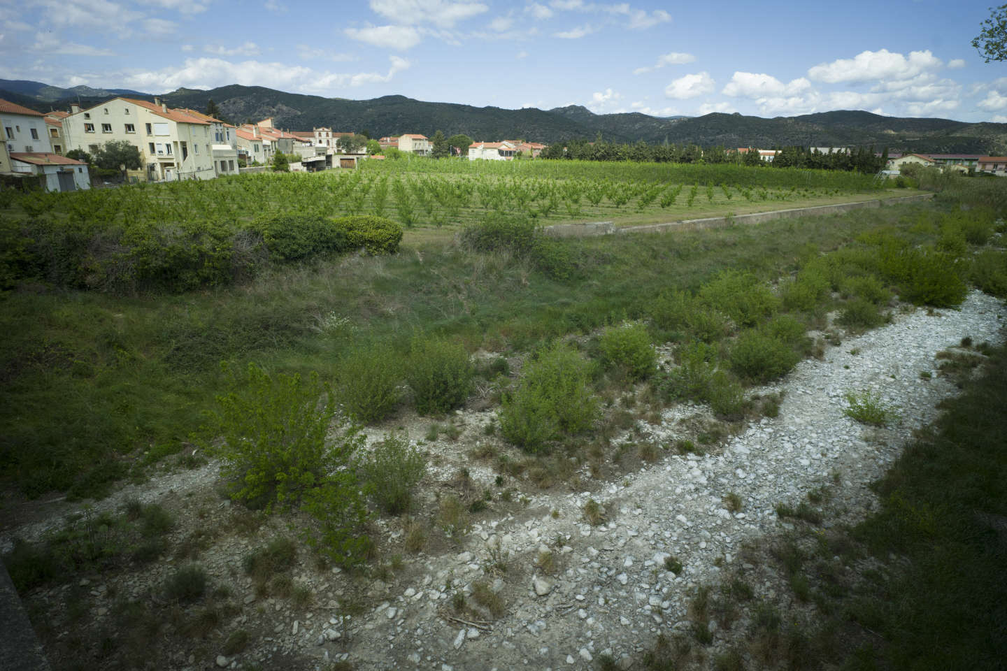 Sécheresse : une rupture d’accès à l’eau, le scénario qui inquiète les Pyrénées-Orientales