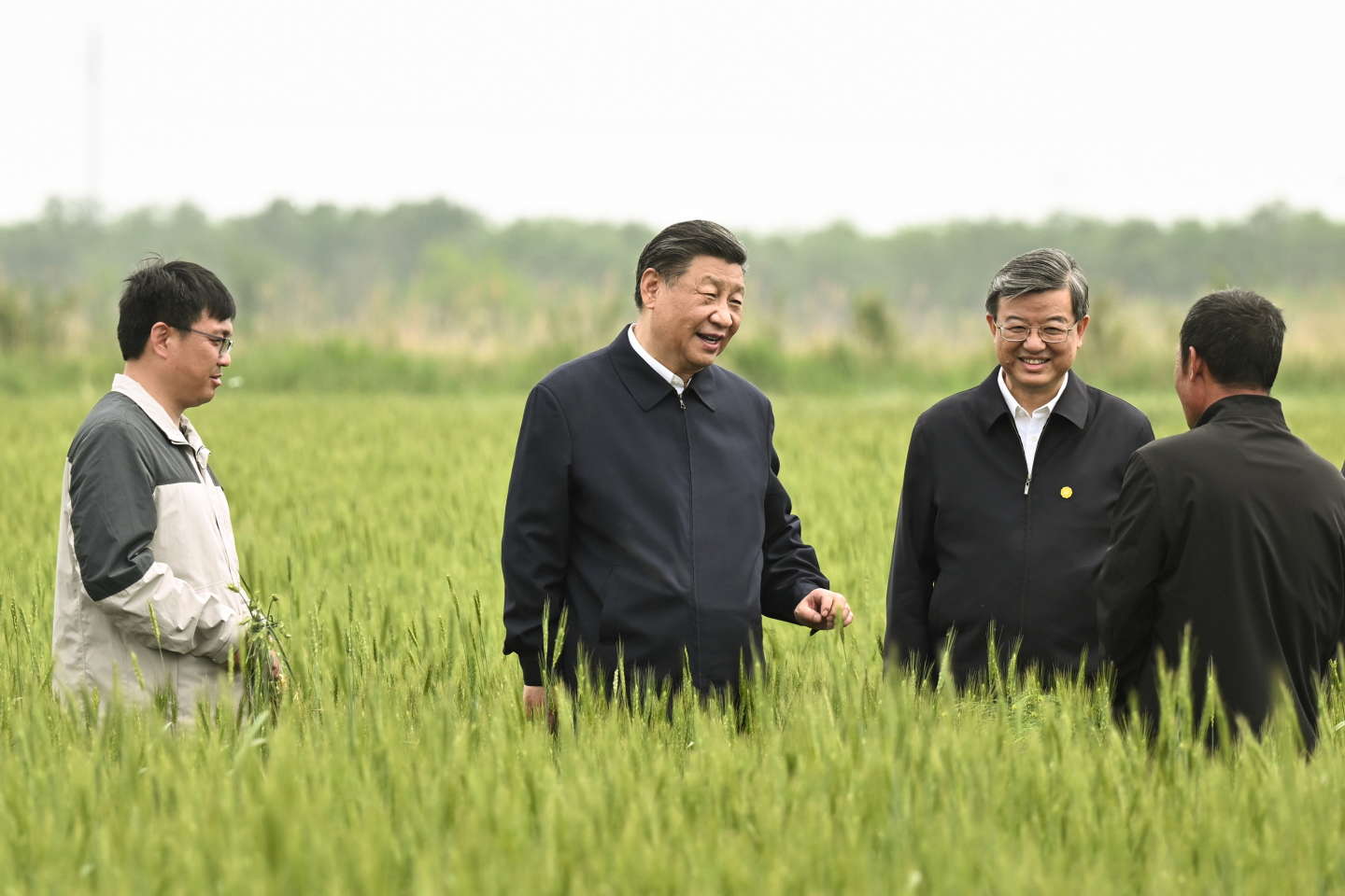 La Chine impose le déboisement pour ses besoins agricoles