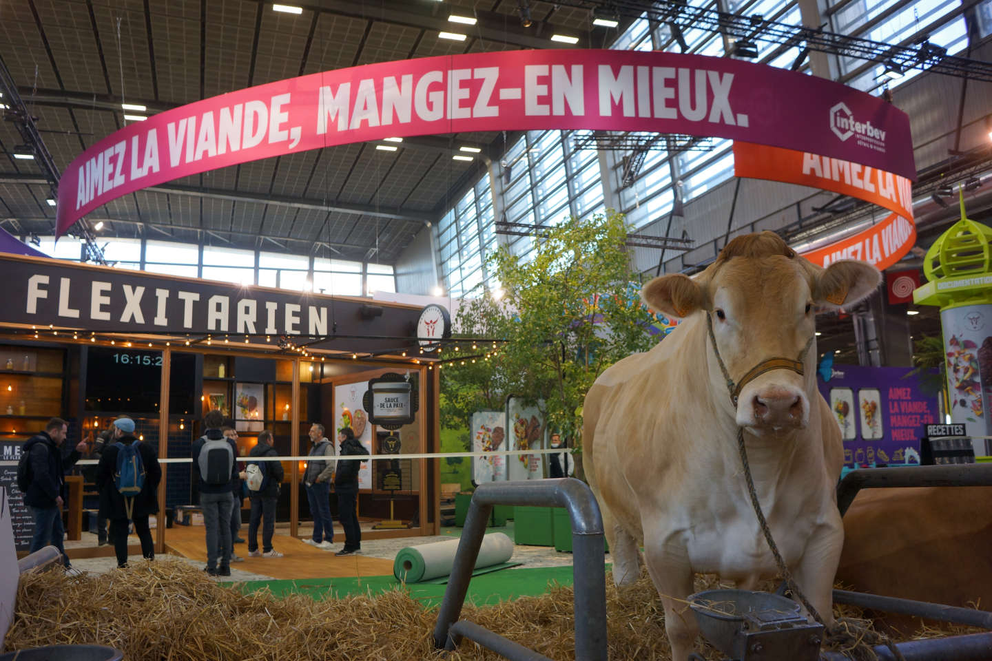 Pourquoi la consommation de viande ne baisse plus en France depuis dix ans
