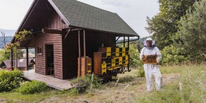 La Slovénie, ce pays où les abeilles sont reines