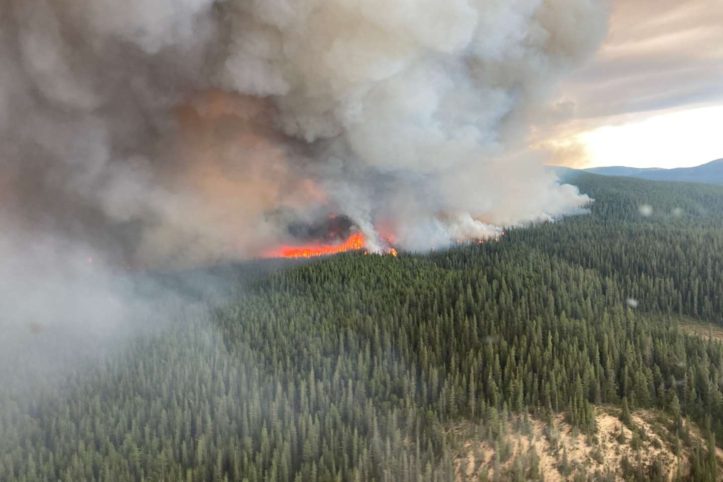 Incendies : le Canada face à des incendies d’une ampleur inédite
