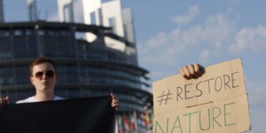 Projet de loi sur la restauration de la nature : journée décisive au Parlement européen