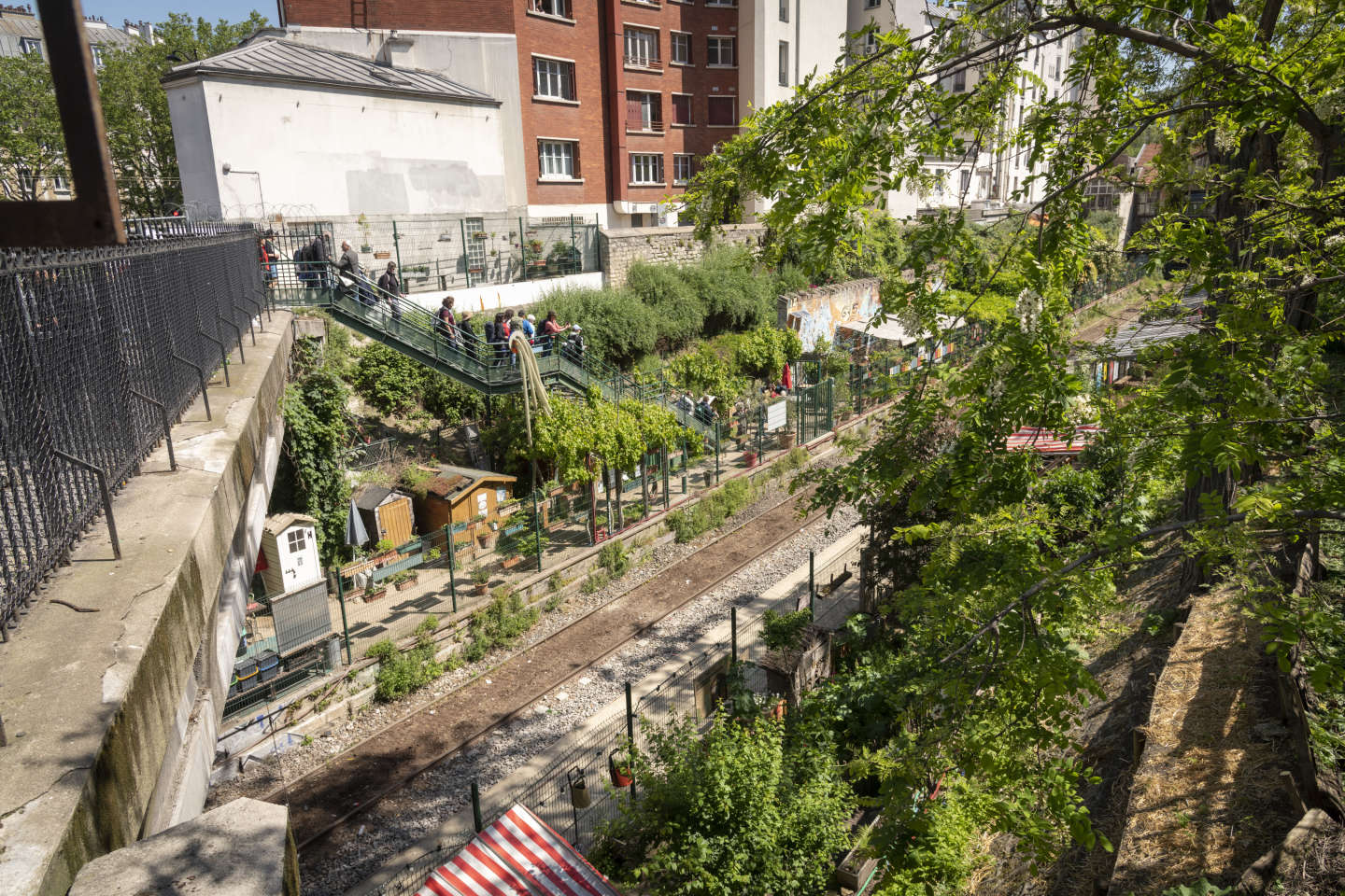 « Il faut repenser en profondeur le modèle d’habitat urbain en multipliant les jardins collectifs »