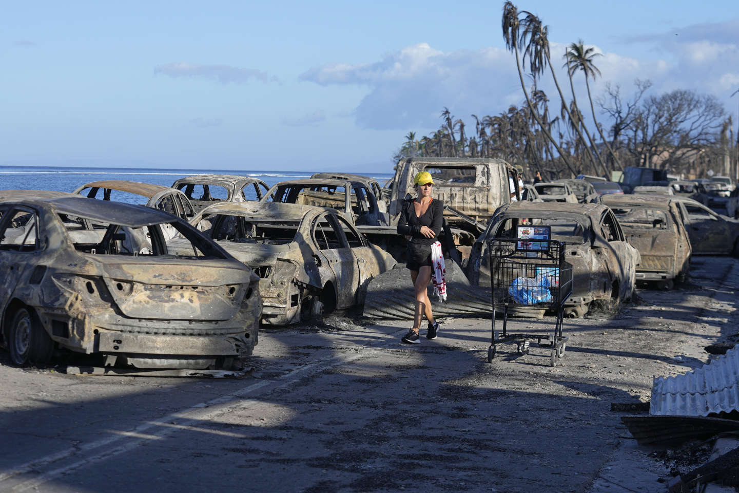 Le bilan des incendies à Hawaï augmente, passant à 93 morts