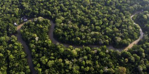Au Brésil, un sommet régional pour sauver l’Amazonie : « Nous ne pouvons pas permettre qu’elle atteigne le point de non-retour »
