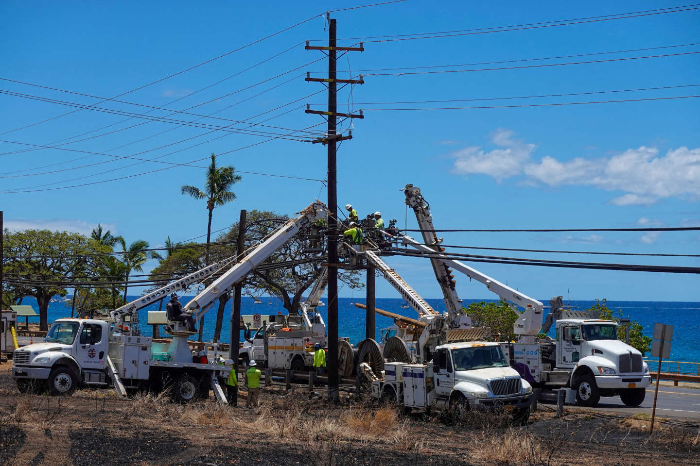 Incendies d’Hawaï : la compagnie d’électricité poursuivie en justice par le comté de Maui pour négligence