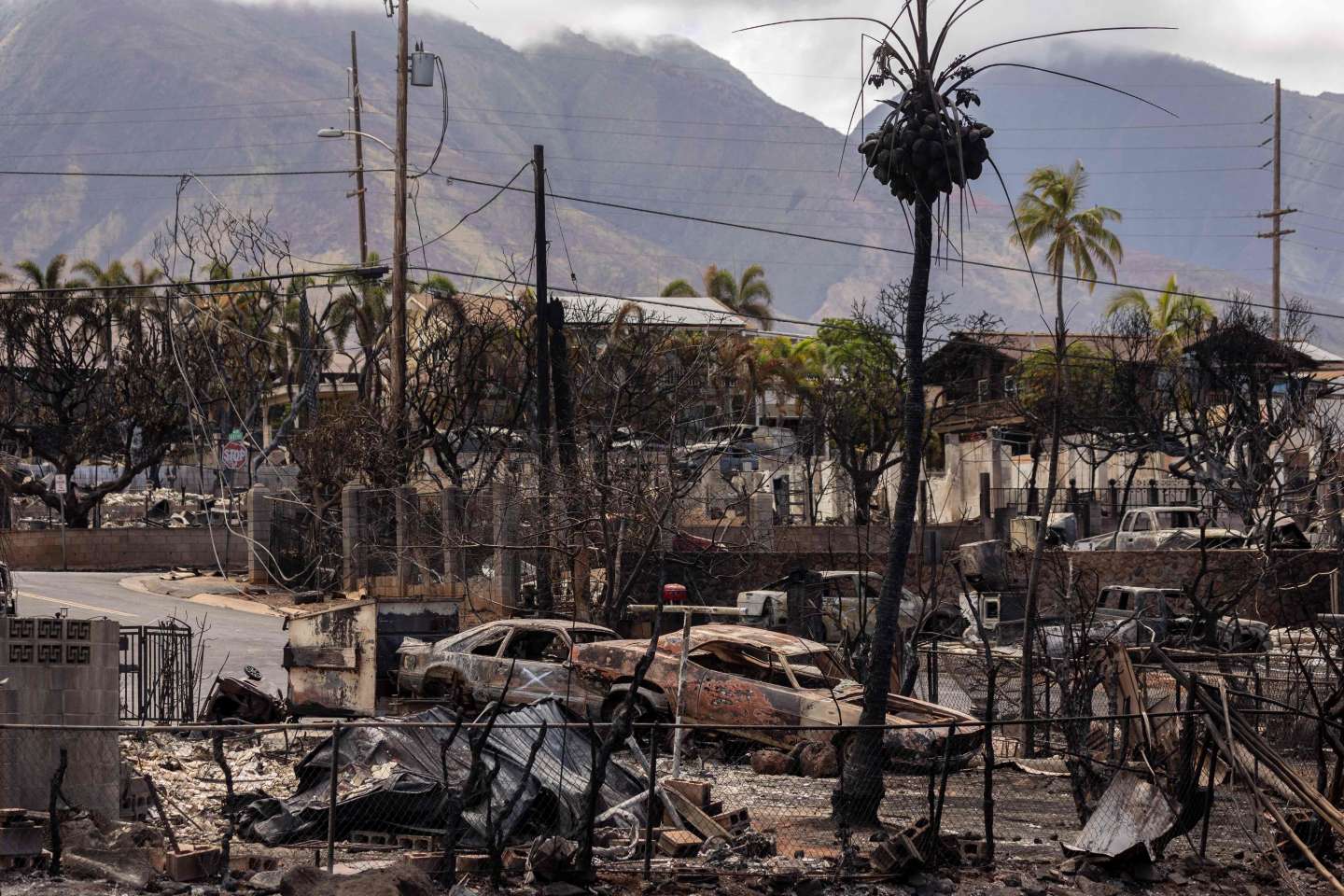 Incendies à Hawaï : comment le brasier a piégé les habitants de la cité balnéaire de Lahaina
