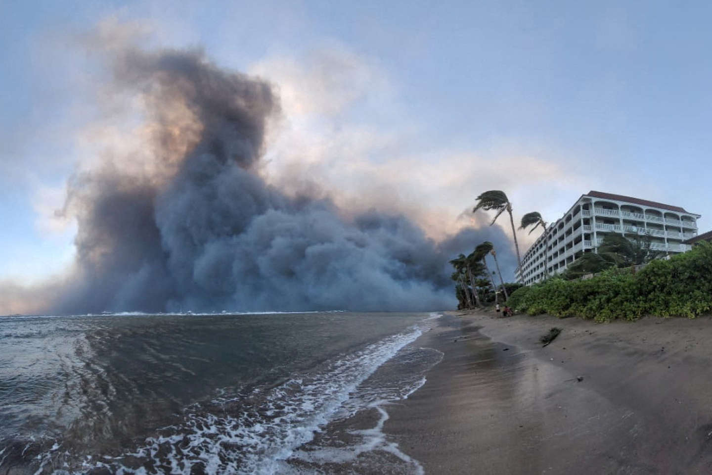 Les incendies à Hawaï ont fait au moins 36 morts, selon un nouveau bilan