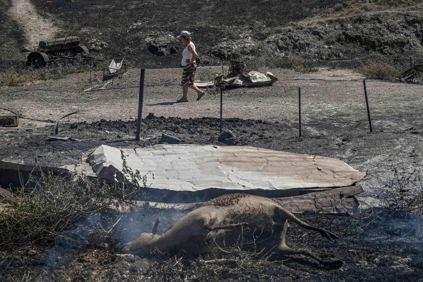 Dans la région de Volos, en Grèce, la détresse des éleveurs qui ont tout perdu dans les incendies