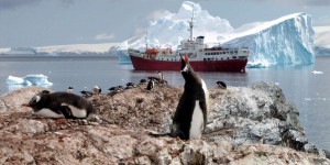 Antarctique : la surface de la banquise plus réduite que jamais en hiver