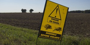 Accidents de chasse : deux associations intentent une action en justice pour « carences fautives » de l’Etat