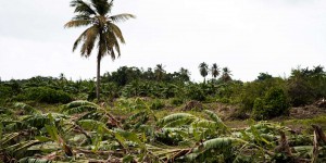 A l’approche de la tempête Tammy, des écoles fermées dans les Antilles françaises