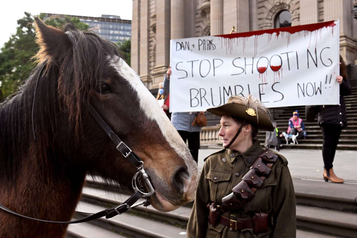 L’Australie va reprendre l’abattage des chevaux sauvages par hélicoptère pour protéger la faune et la flore