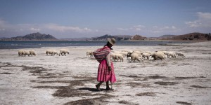 A la frontière entre le Pérou et la Bolivie, le lac Titicaca en proie à une sécheresse historique