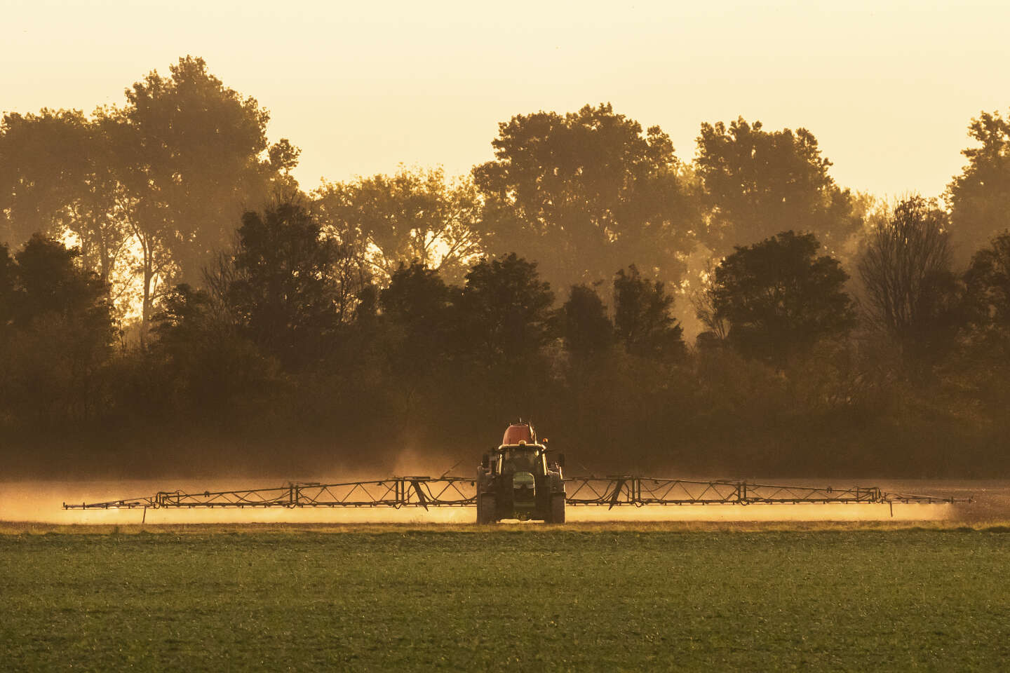 Le Parlement européen rejette un texte-clé du Pacte vert sur l’usage des pesticides