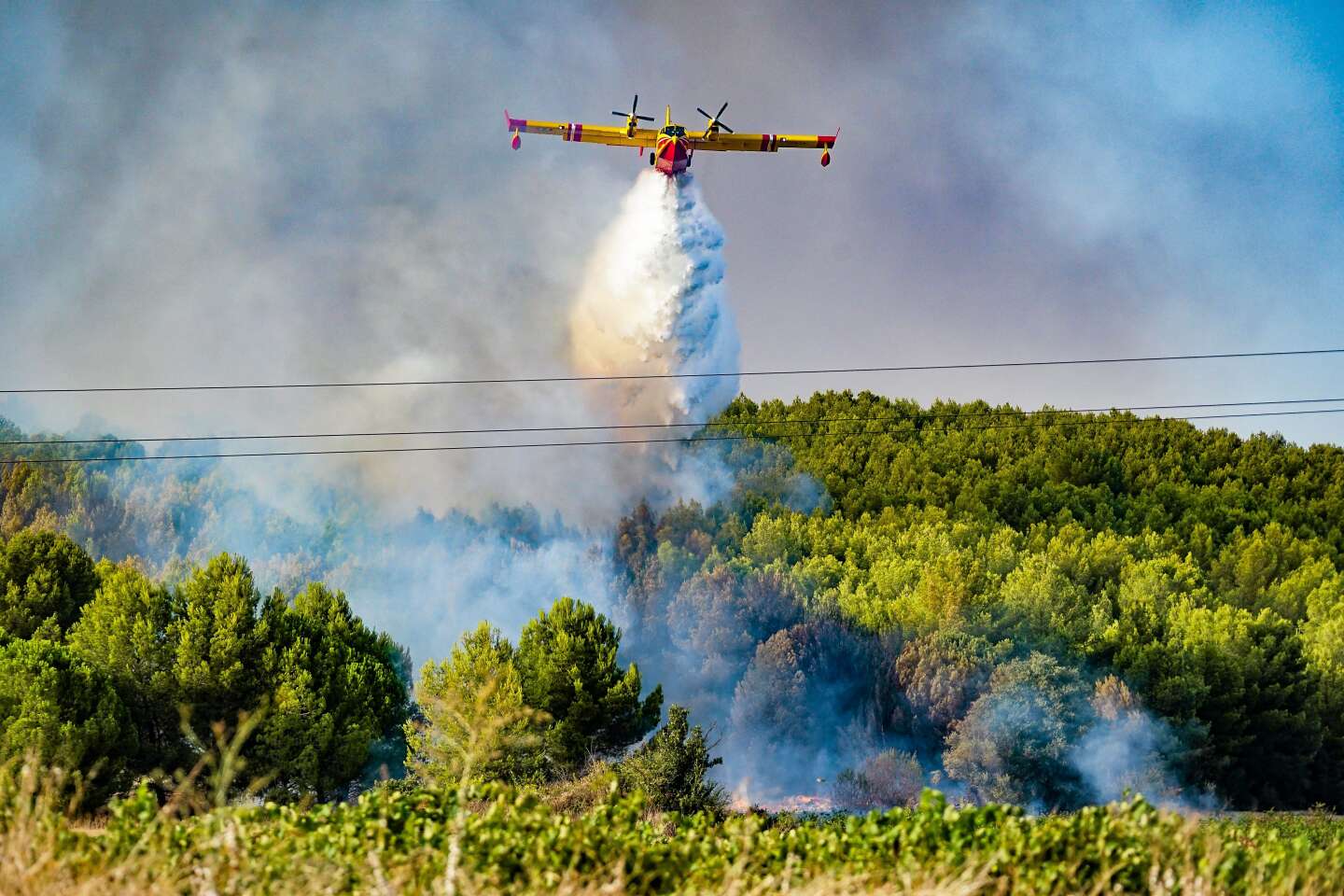 Prévention des feux de forêt : le Gard veut mieux faire respecter les obligations de débroussaillement