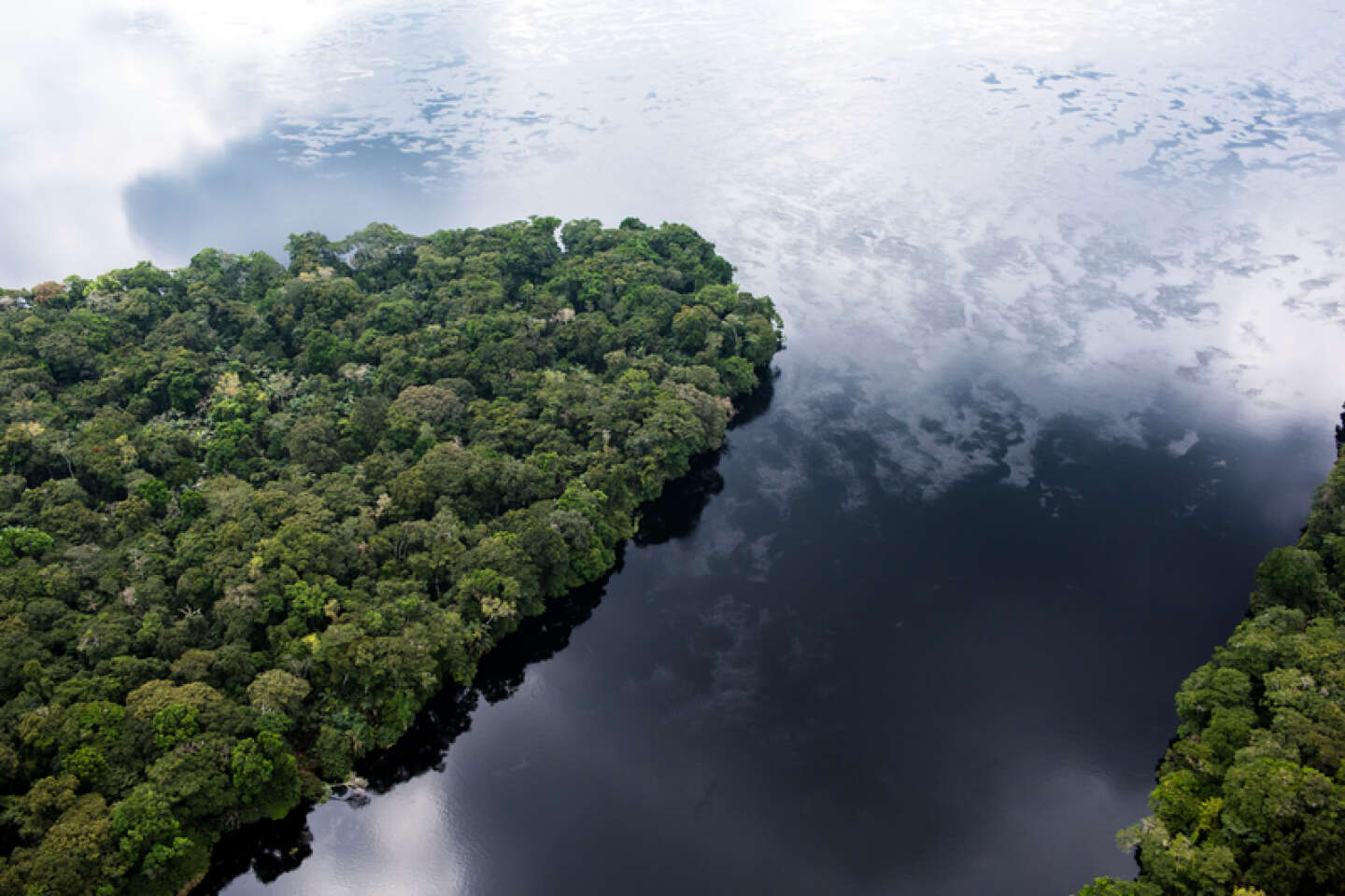 RDC : menace sur l’un des plus grands pièges à carbone du monde