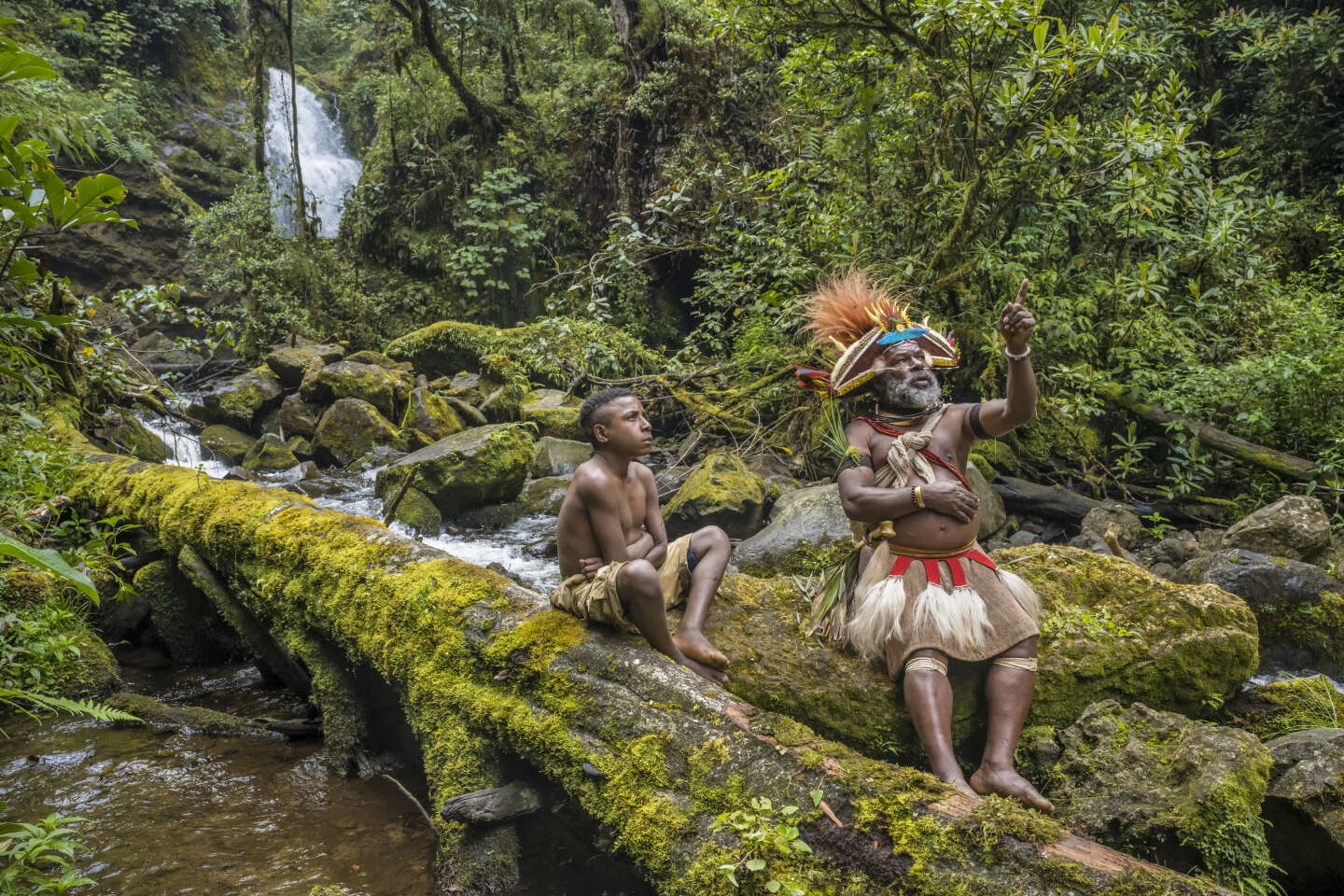 Sur Arte, cinq « Gardiens de la forêt » montrent le chemin pour préserver les poumons de la planète