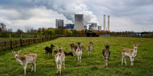 Climat : l’Union européenne n’est pas en ligne avec ses objectifs de réduction des émissions de CO2