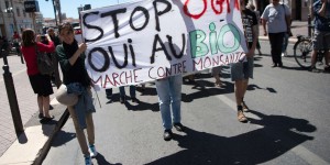 « Avec cette nouvelle loi, les Français auront d’immenses difficultés à accéder à une alimentation sans OGM »