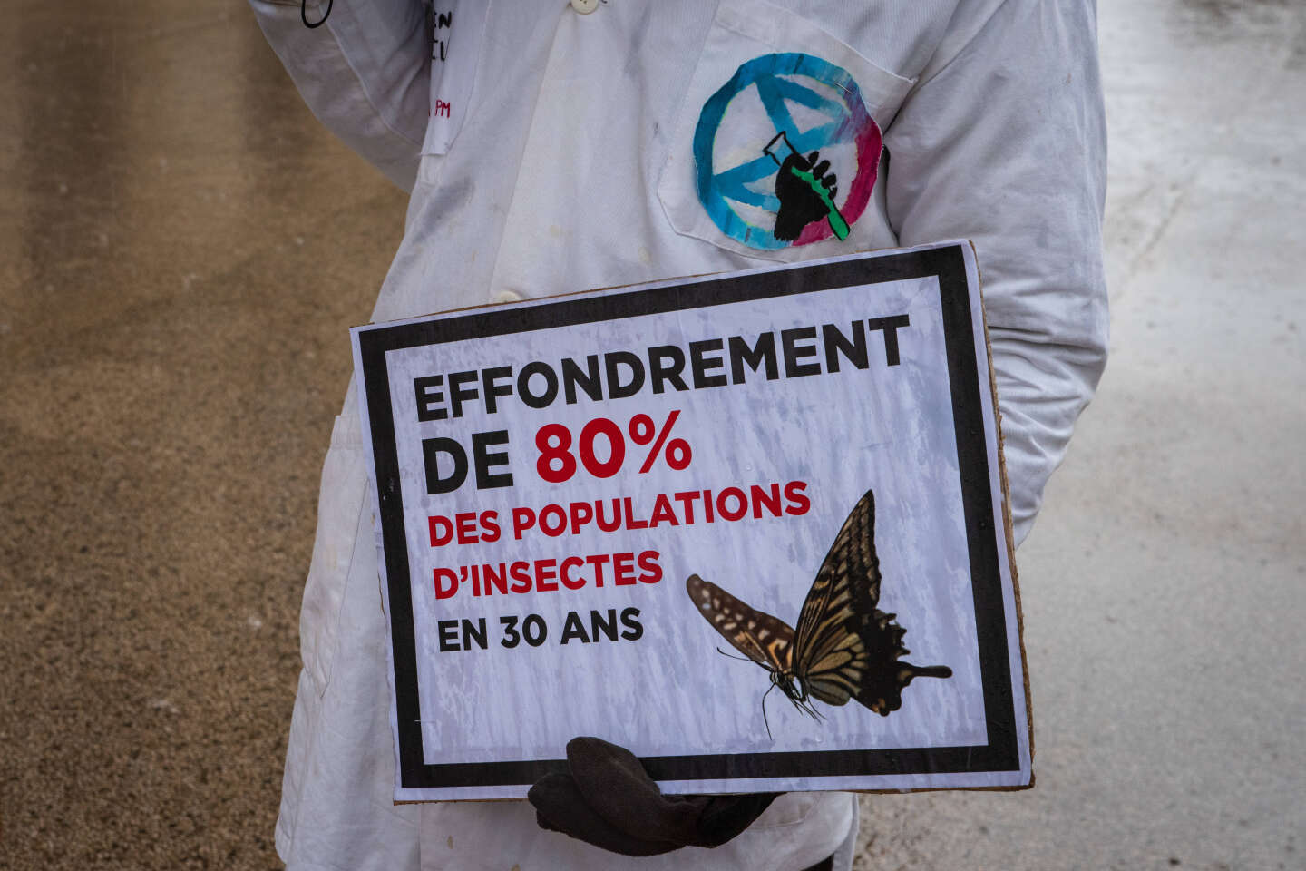 Pesticides : une commission d’enquête déplore l’« impuissance publique » à réduire leur usage