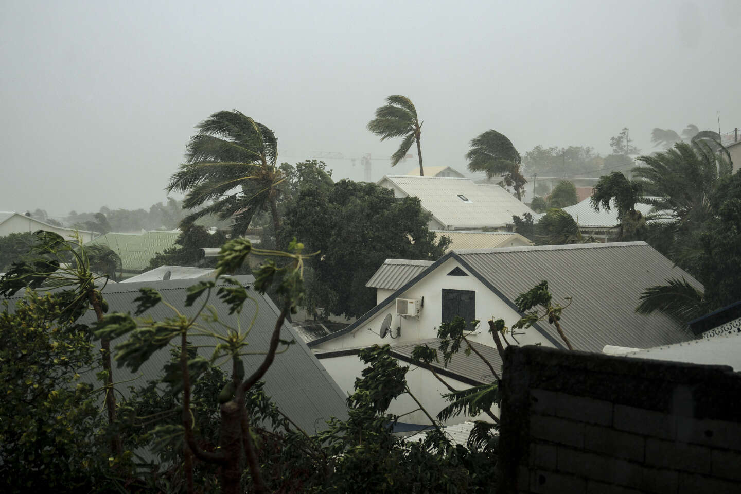 Cyclone Belal à La Réunion : comment l’île anticipe les risques naturels et ce qu’elle pourrait améliorer