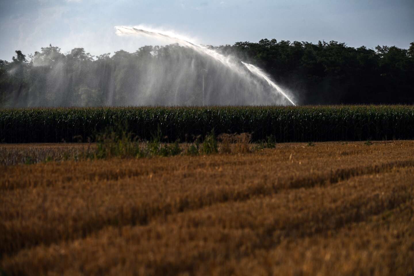 Agriculture : l’inexorable progression du recours à l’irrigation