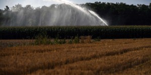 Agriculture : l’inexorable progression du recours à l’irrigation
