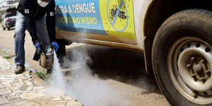 Le Brésil menacé par une épidémie de dengue sans précédent