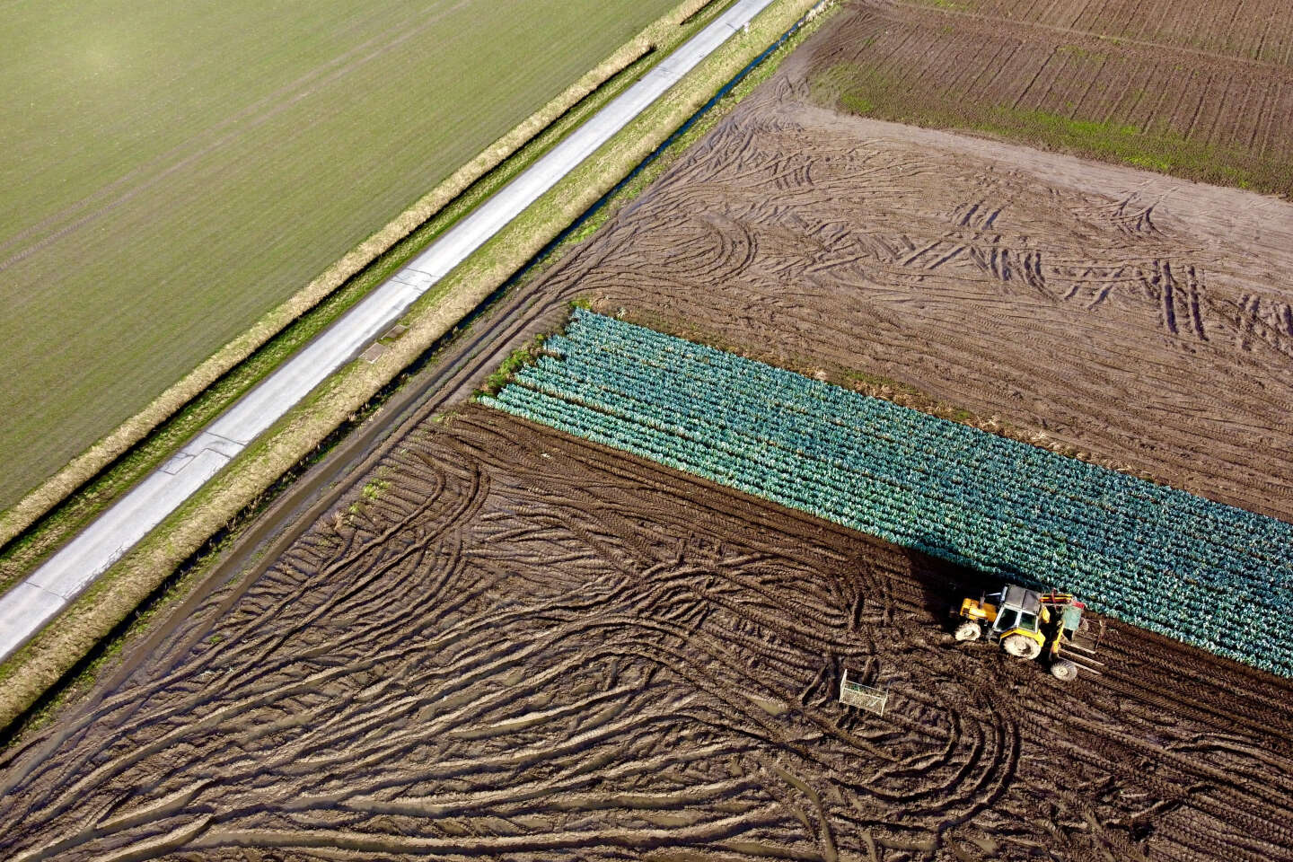 Politique agricole commune : Bruxelles adopte l’exemption aux obligations de jachères