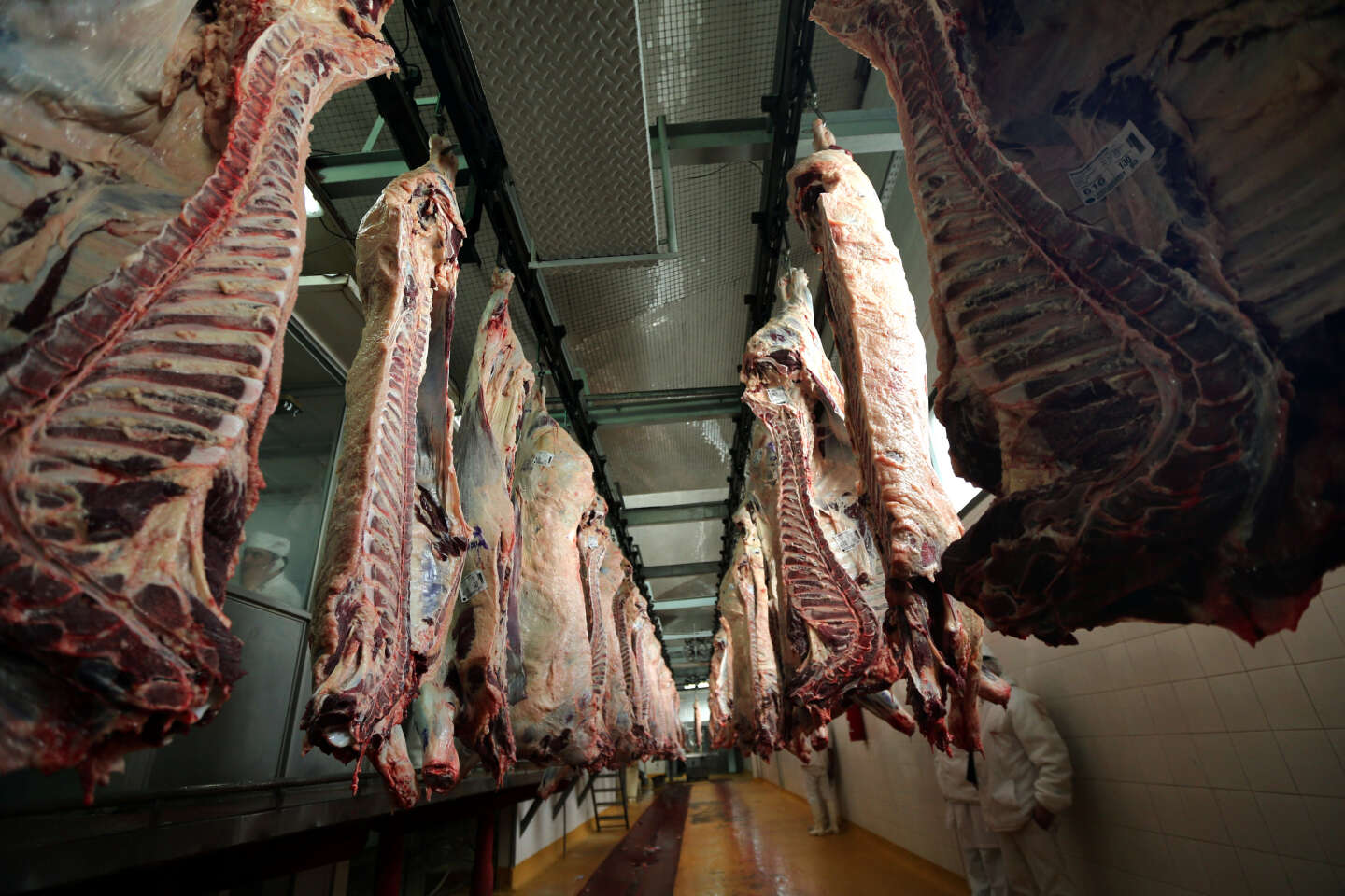 Les professionnels de la viande alertent sur la baisse de production, qui force la fermeture des abattoirs