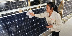 « Il est urgent d’agir pour sauver les derniers producteurs européens de panneaux solaires »