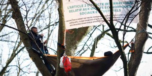 Autoroute A69 : des écologistes perchés dans des arbres devant la Cour européenne des droits de l’homme