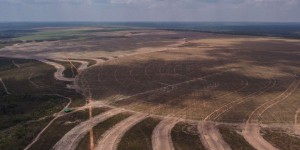 La déforestation continue dans le Cerrado brésilien, principale région d’exportation de soja vers la France