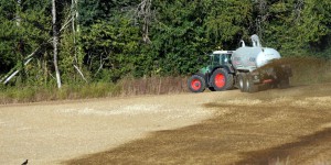 Agriculteurs et néo-ruraux : derrière la proposition de loi sur les conflits de voisinage, une bataille très politique