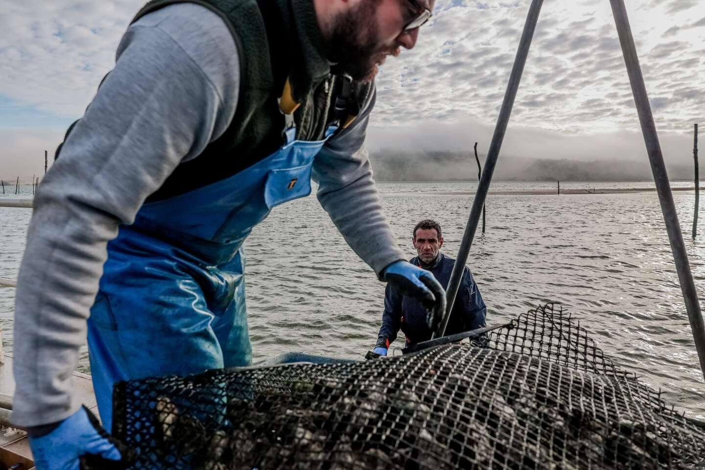 D’Arcachon à la Bretagne, la fin de l’« omerta » sur la contamination des huîtres par les eaux usées