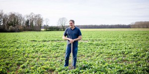 « Je n’ai pas le profil d’un agriculteur lambda » : Nicolas Galpin, un céréalier contraint à la diversification